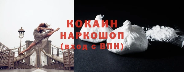 дмт Няндома