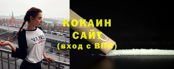 дмт Няндома