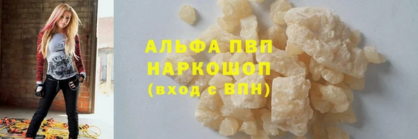 соль ск Новодвинск