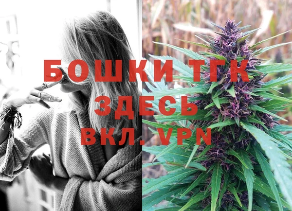 дмт Няндома
