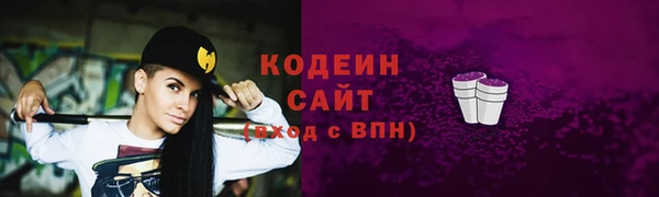 дмт Няндома