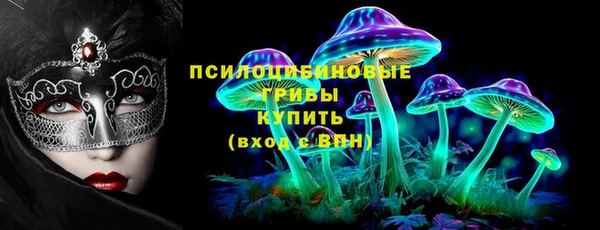 дмт Няндома